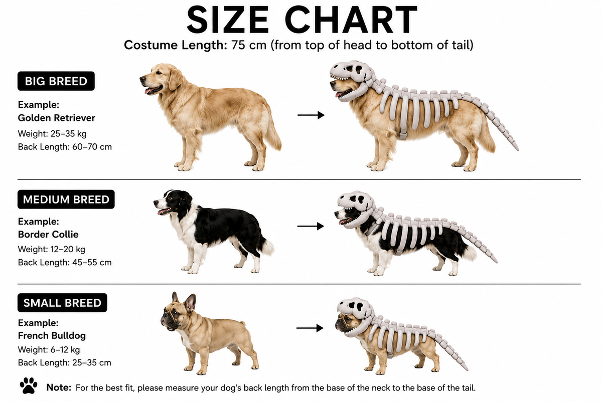 DoggoSaur - Mein Shop