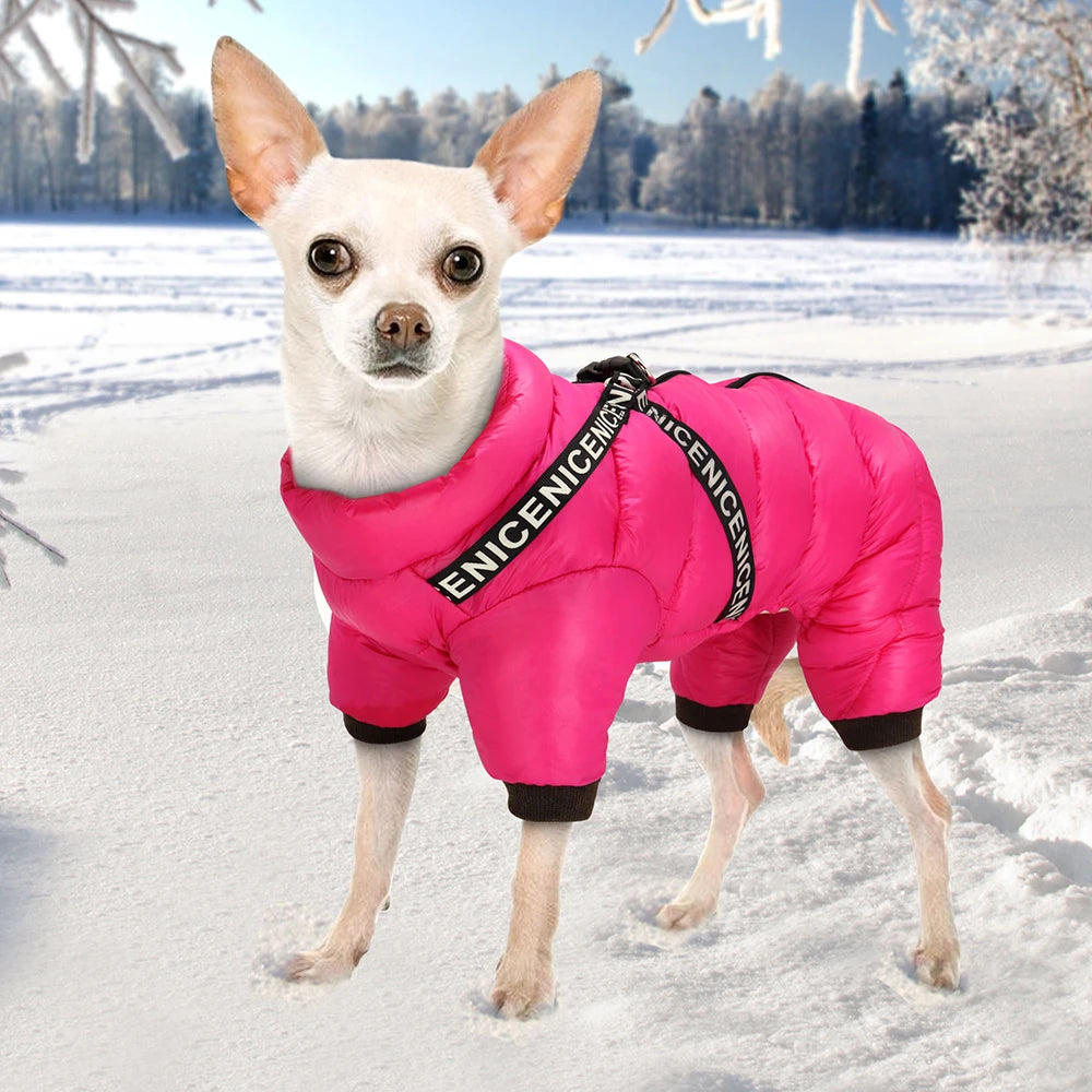 DoggoWarm