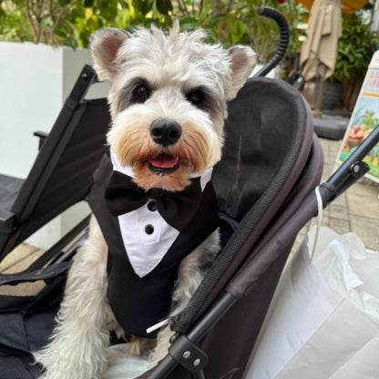 GentleDog