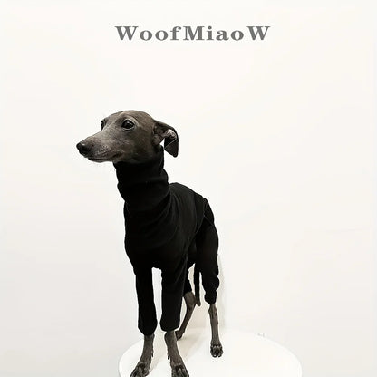 DoggoChic