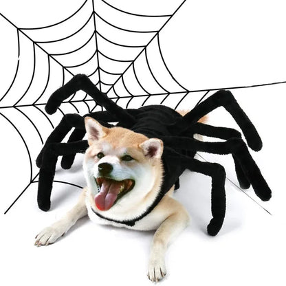 SpiderDog