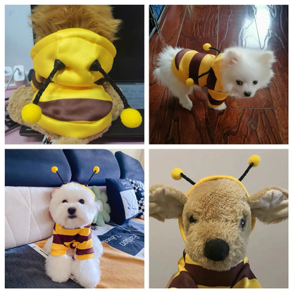 HoneyDog