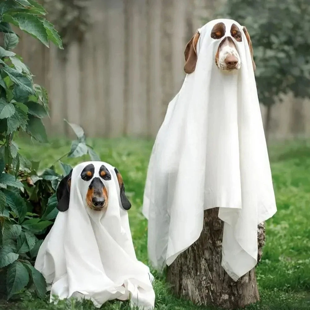 DoggoBoo
