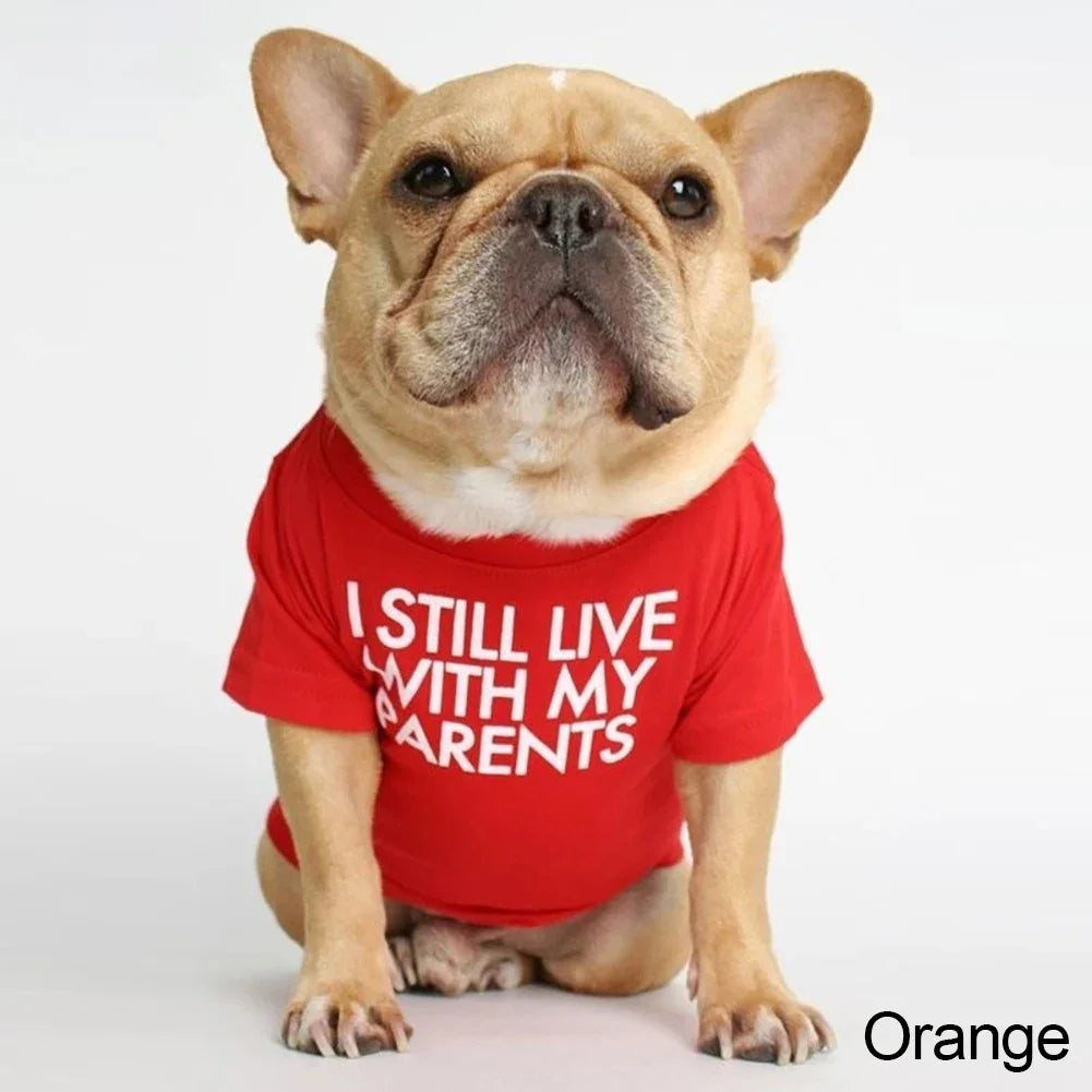 DoggoDependent
