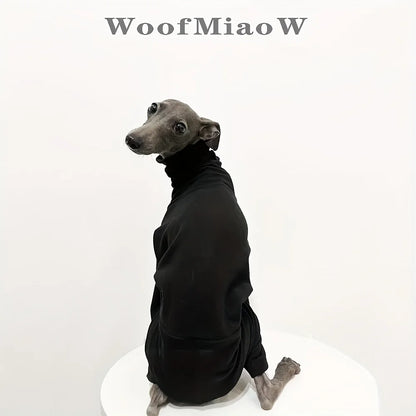 DoggoChic
