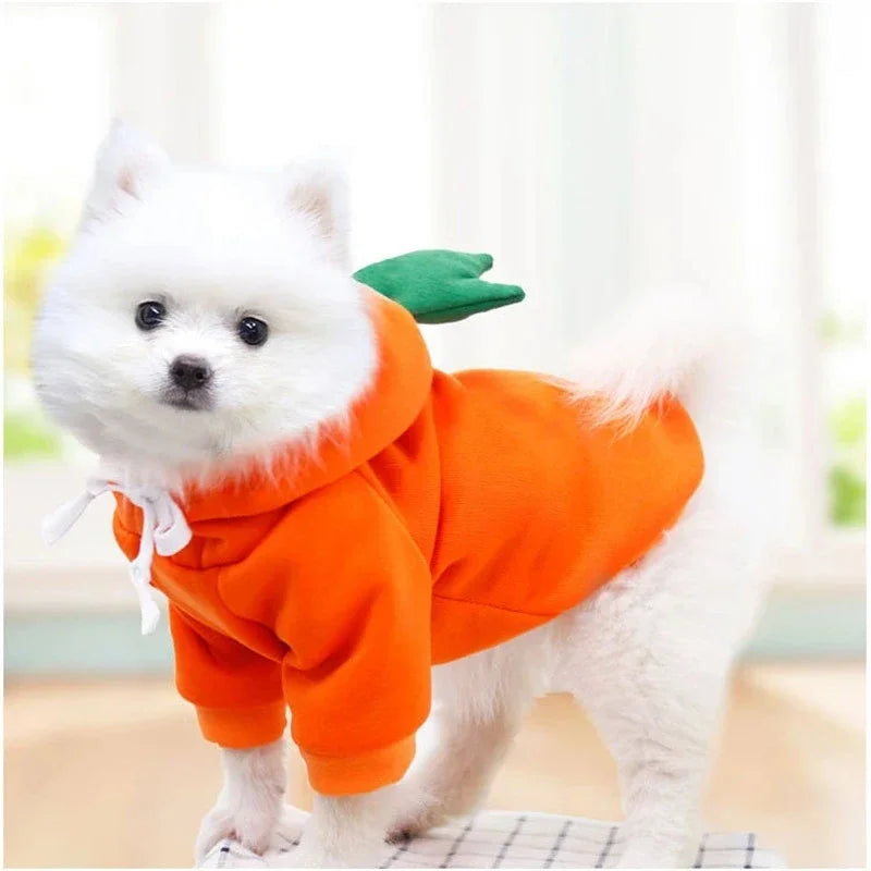 DoggoFits