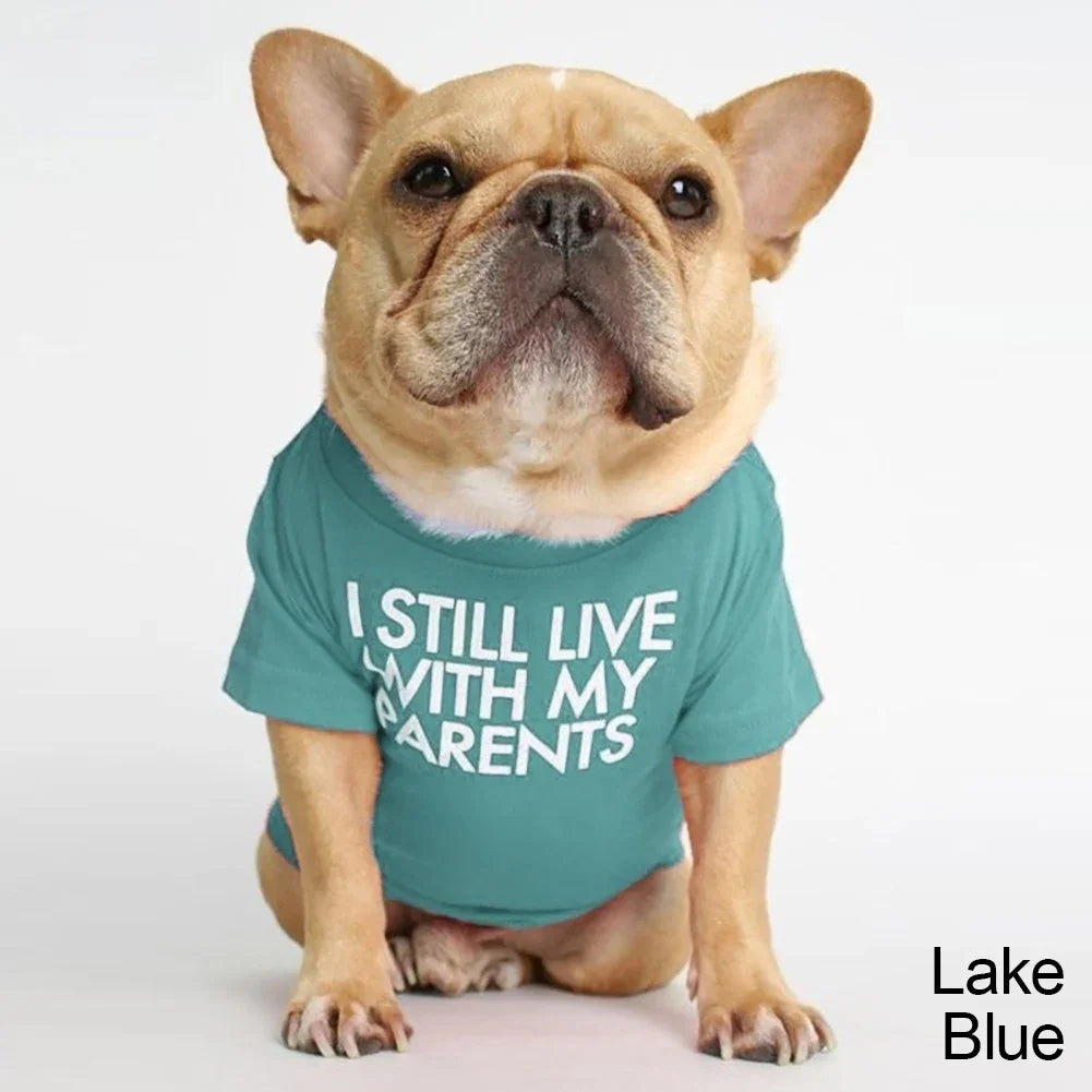 DoggoDependent