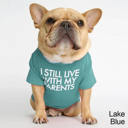 DoggoDependent