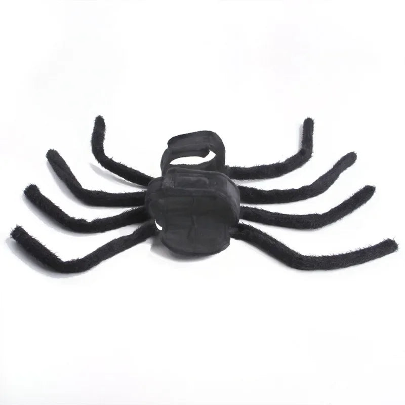SpiderDog