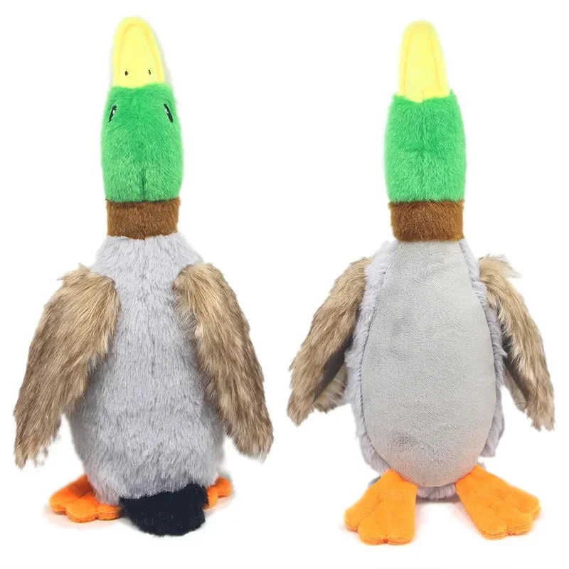 DoggoDuck