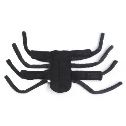 SpiderDog