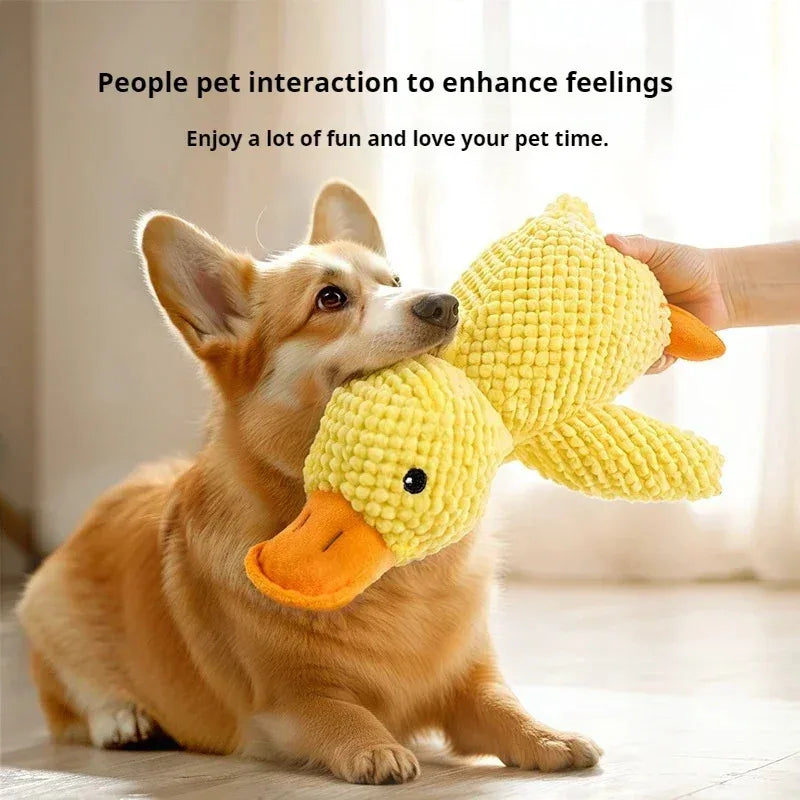 DoggoQuack