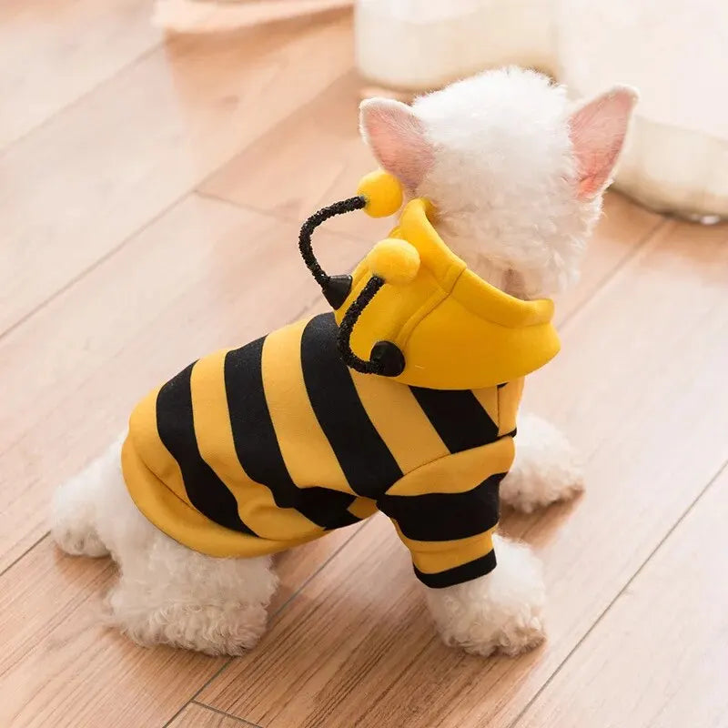 HoneyDog