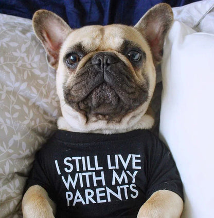 DoggoDependent