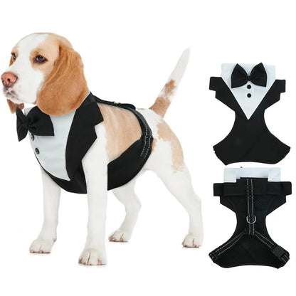 GentleDog