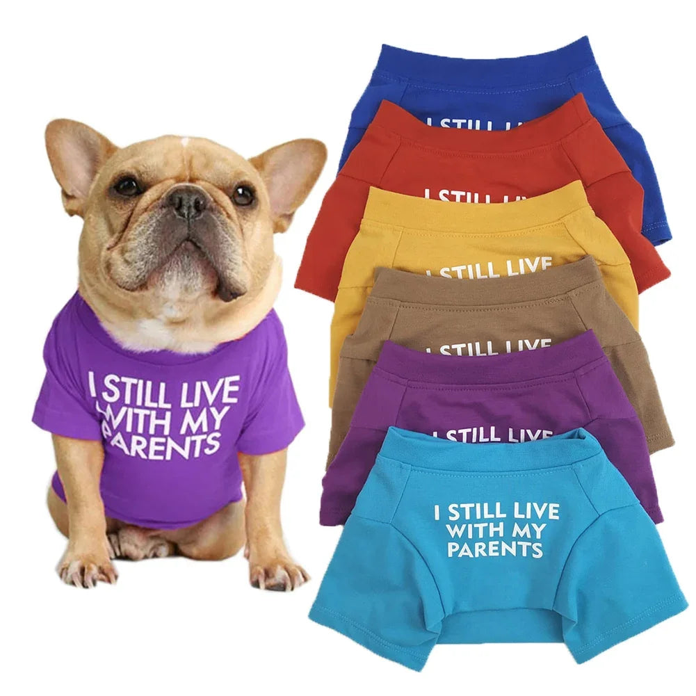 DoggoDependent