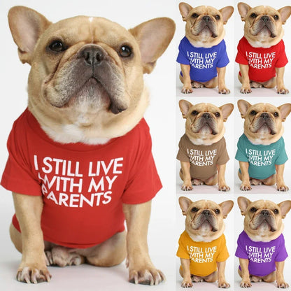 DoggoDependent