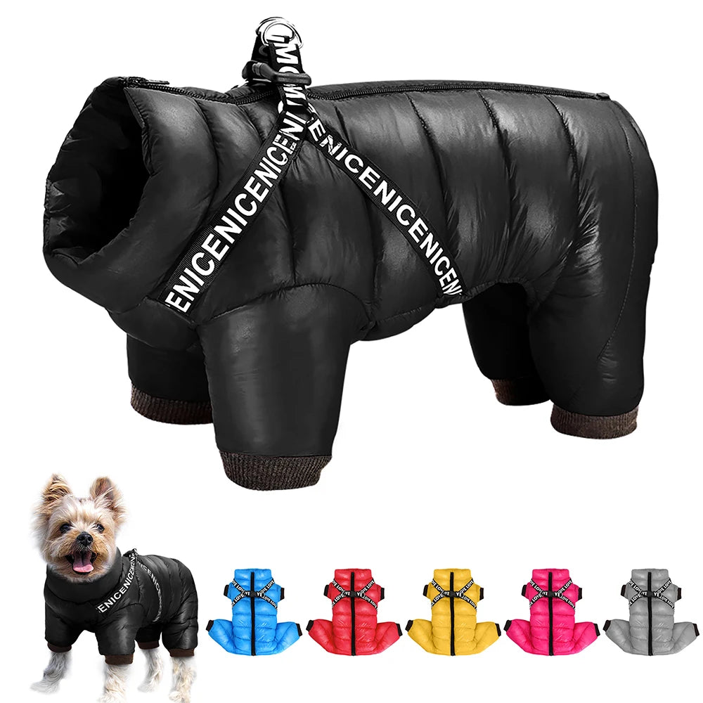 DoggoWarm