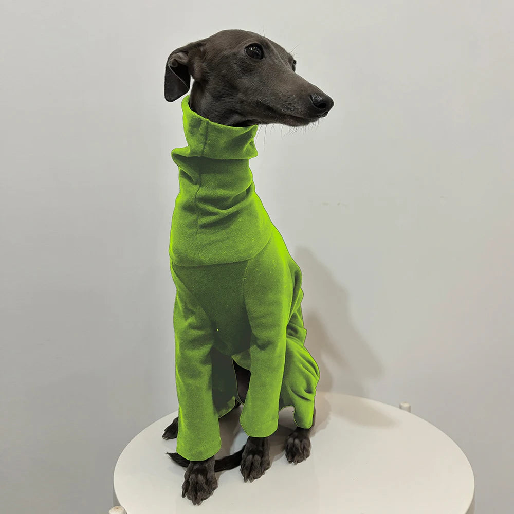 DoggoChic