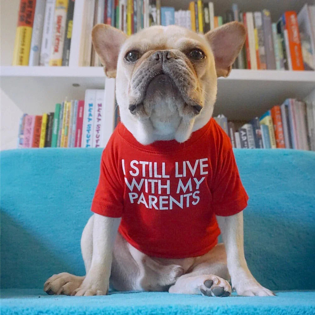 DoggoDependent