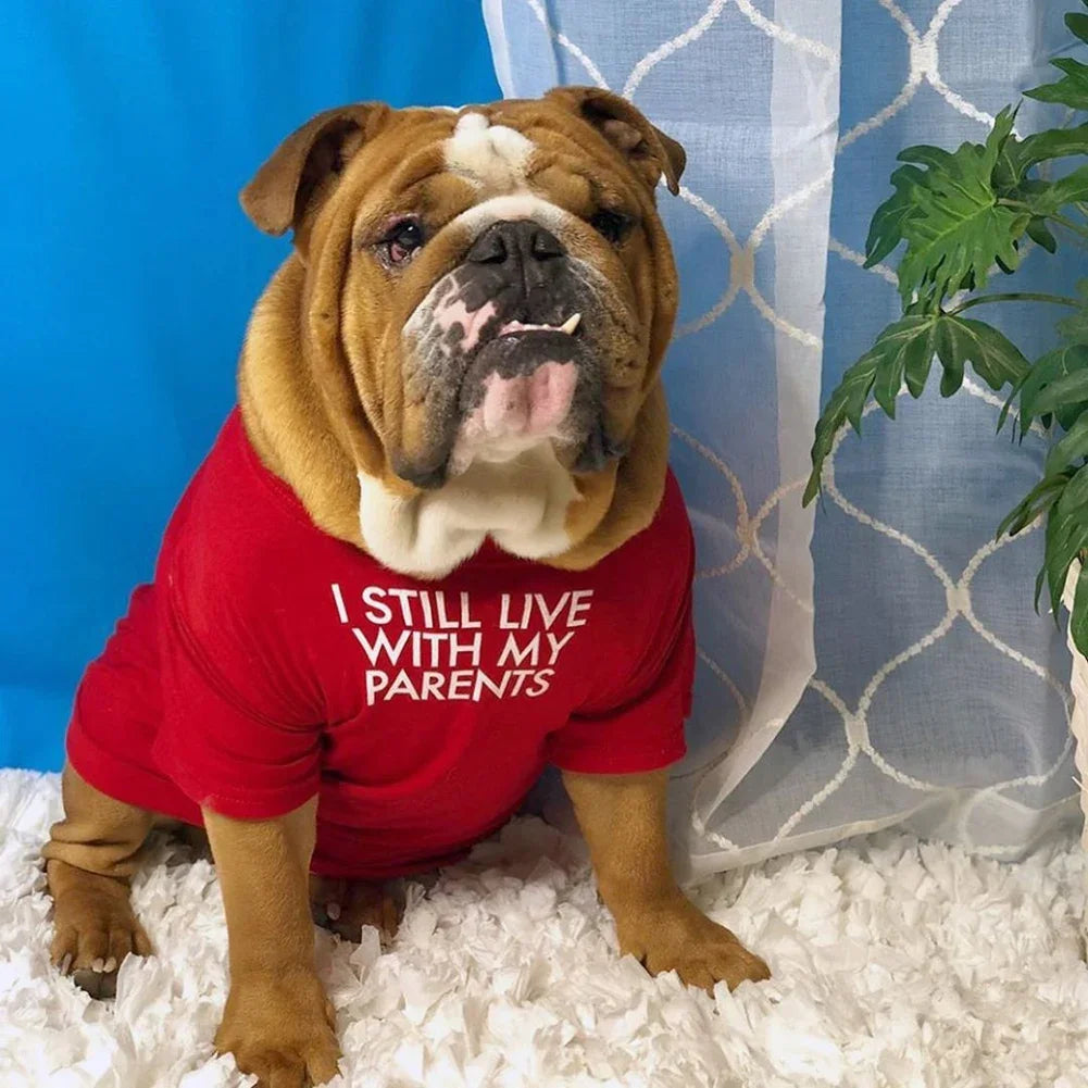 DoggoDependent