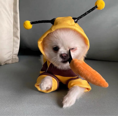 HoneyDog